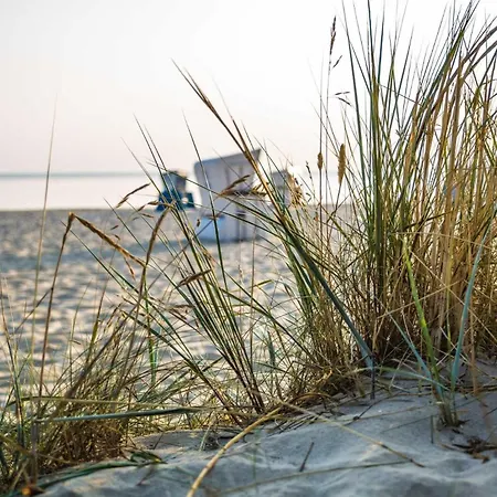 Holiday home Tiny House Am Heringsdorf (Usedom)
